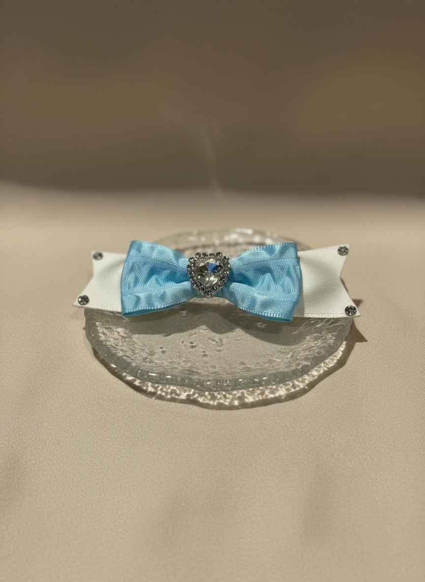 Dreamy Decked Bow Clip