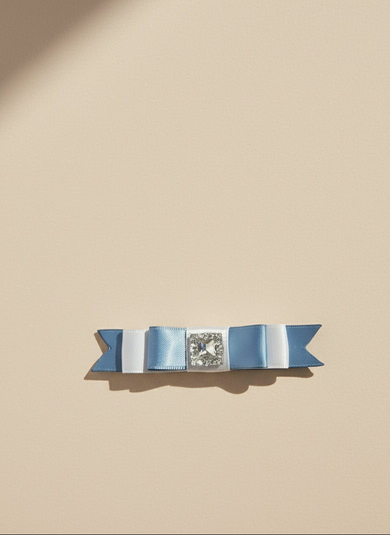 Veronica Colorblock Fat Bow