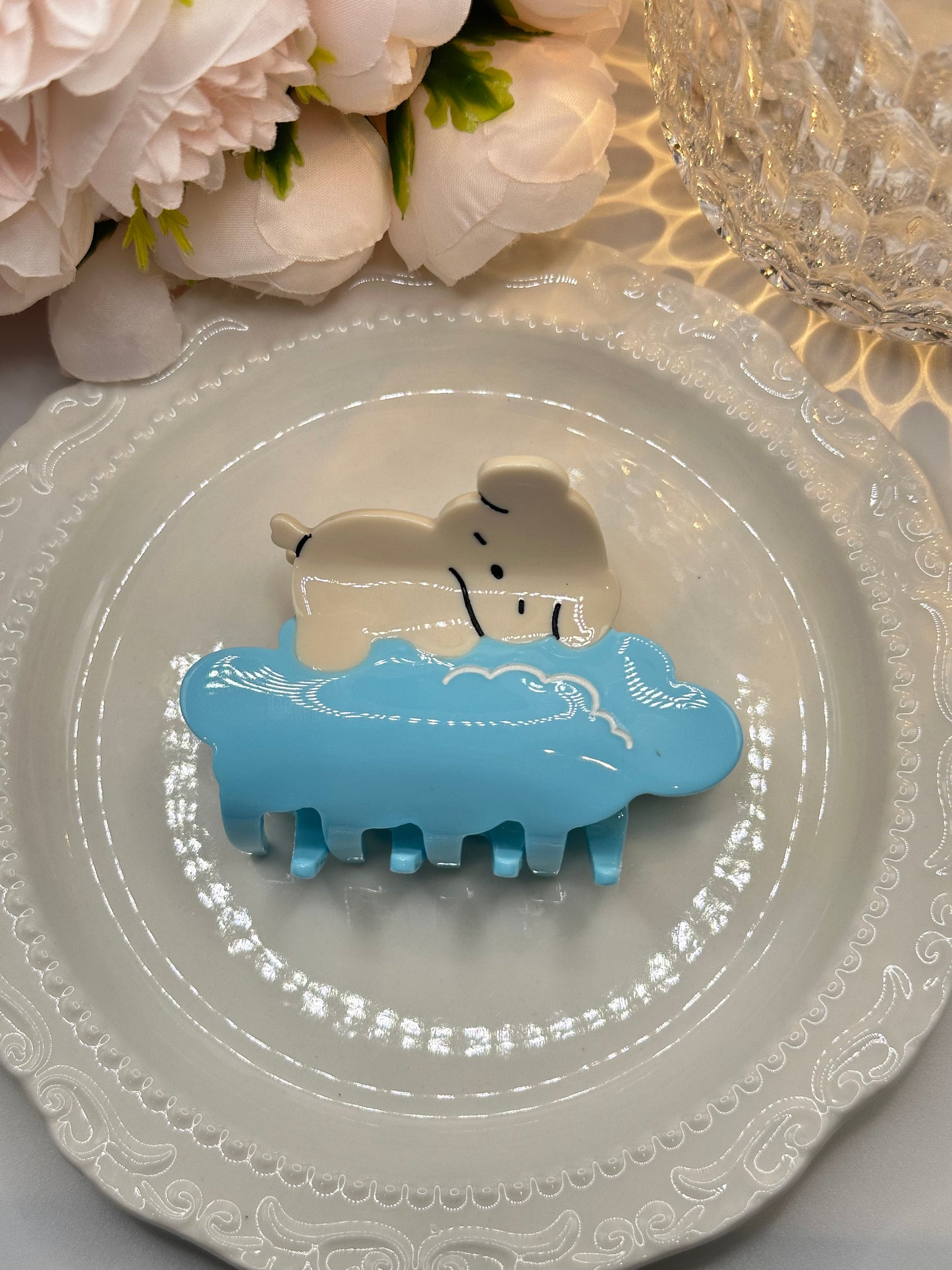 Griffe de chien duveteuse et endormie