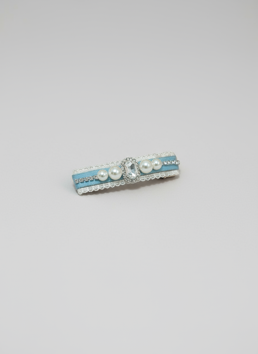 Trista  Colorblock Bejewelled Slim Clip