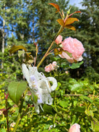 Jessie Floral Bejewelled Lace Hair Claw