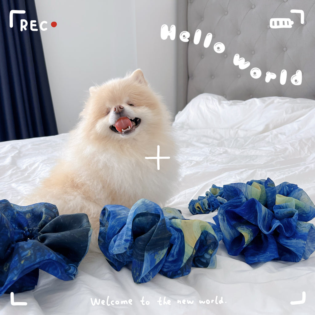 Dog sitting on a bed with blue organza scrunchies that inspired by Van Gogh's  the Starry Night and text overlay