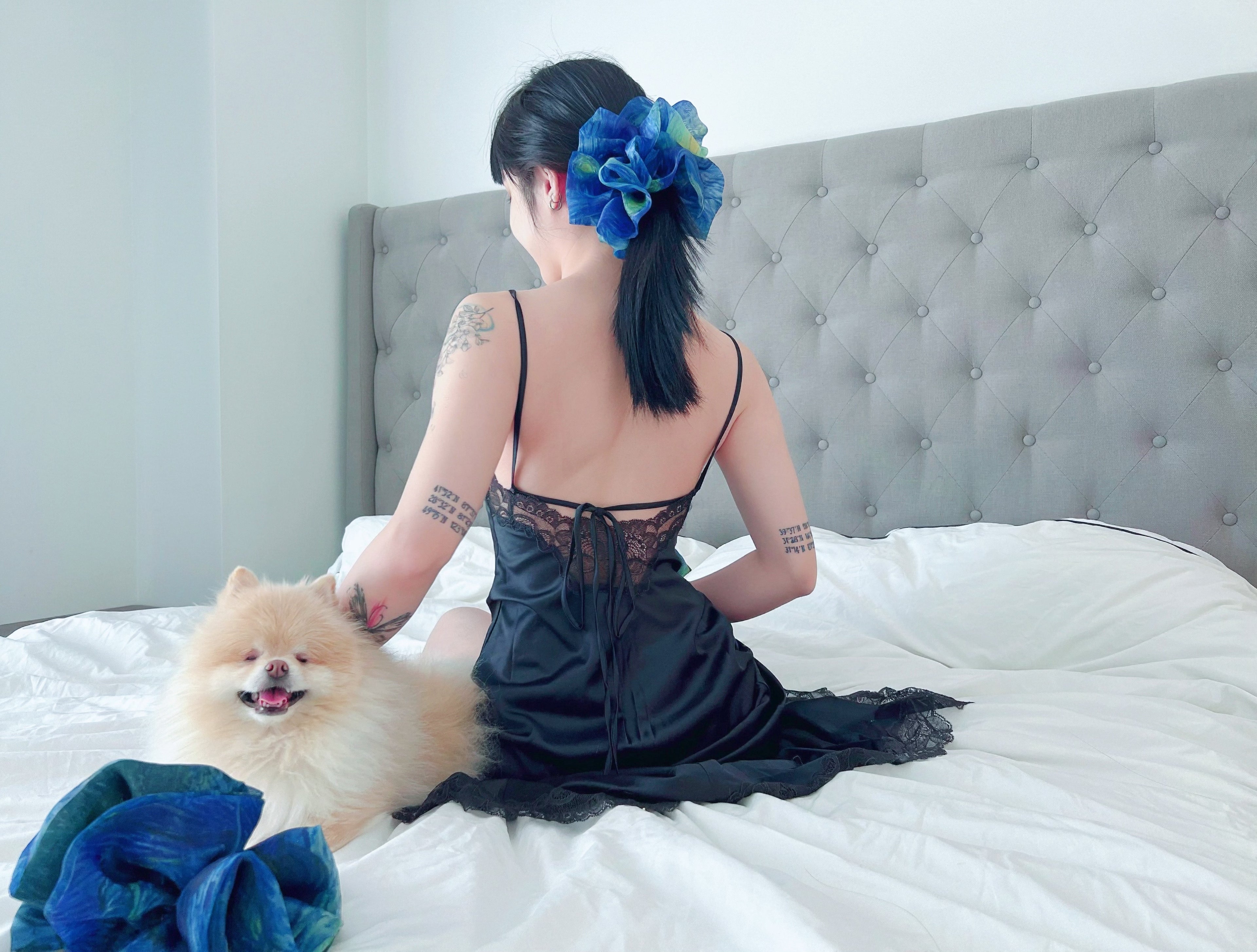 Woman in a black lace dress sitting on a bed with a small dog in her boudoir, wearing a a large blue organza scrunchies in her hair that inspired by Van Gogh's  the Starry Night, only at Petite Murmure.
