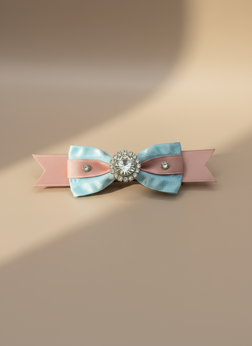 Cecilia Colorblock Hair Clip